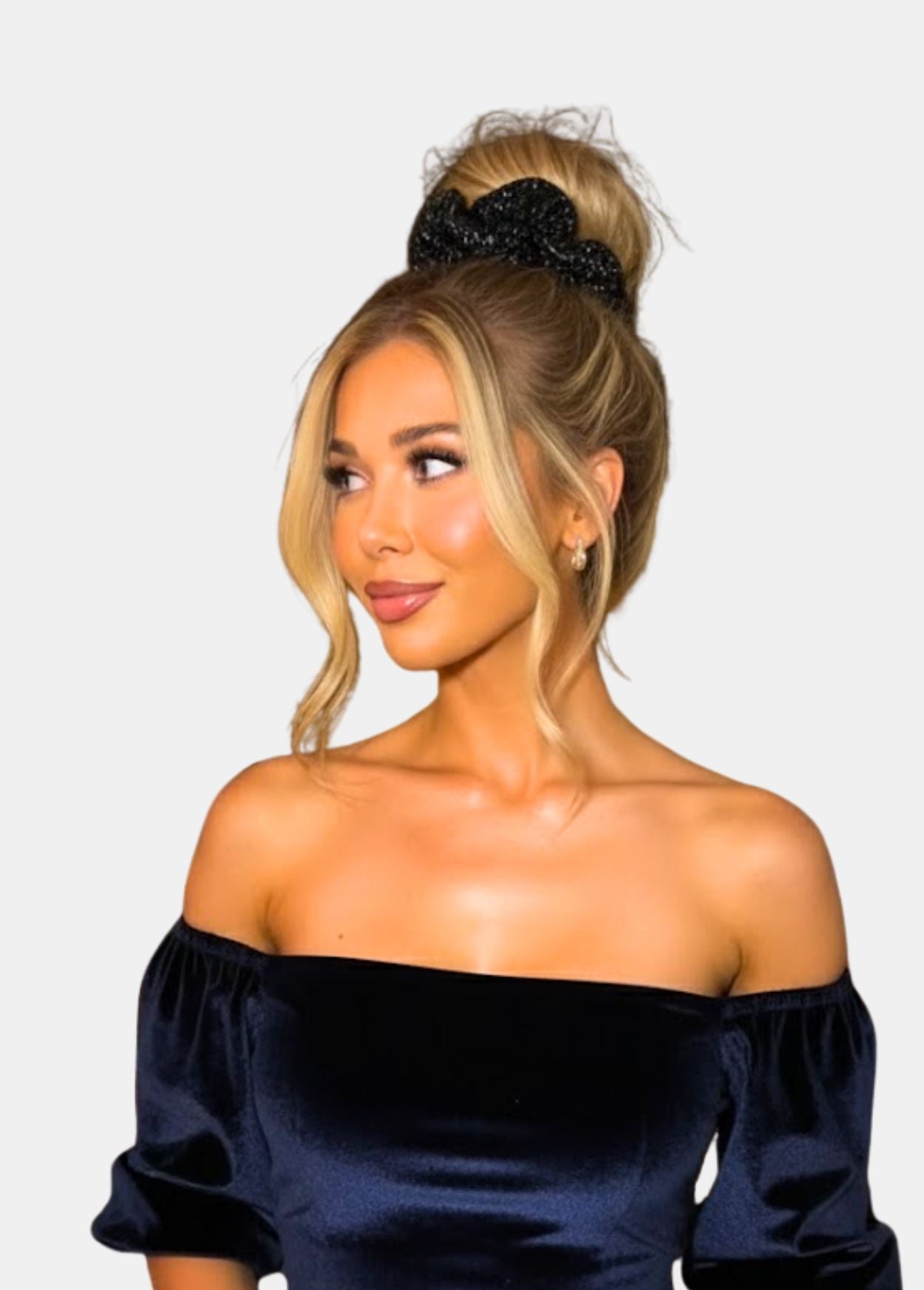 Hairnova Premium Hair Bun Scrunchie 25g